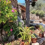 דירה Aphrodite's Maisonette On Corfu Island בארבאטי